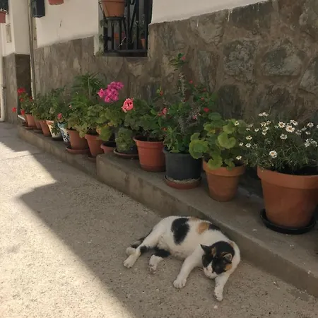 Apartment Casa Amigos - La Vina