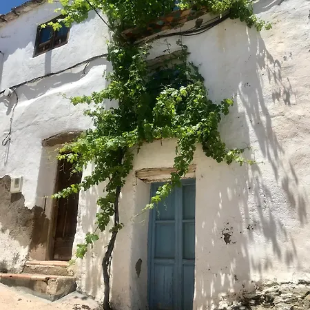 Apartment Casa Amigos - La Vina *